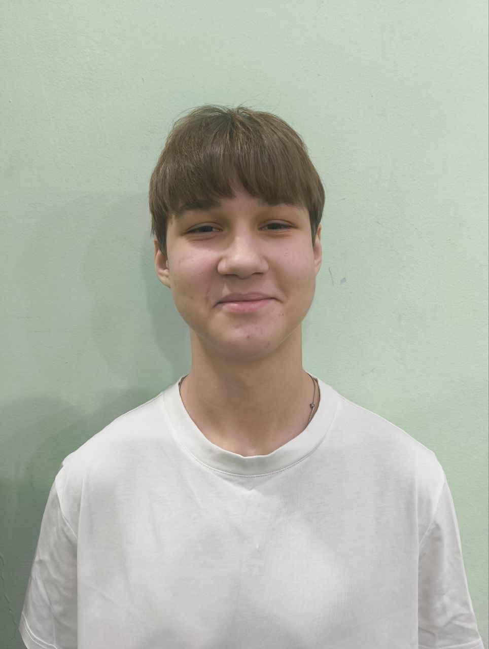 Будивский Дмитрий Александрович